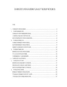 全球医药专利布局策略与知识产权保护研究报告