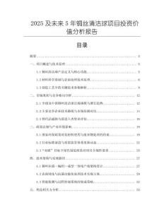 2025及未來5年銅絲清潔球項(xiàng)目投資價(jià)值分析報(bào)告