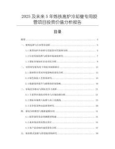 2025及未來5年煉鐵高爐冷卻壁專用膠管項(xiàng)目投資價(jià)值分析報(bào)告