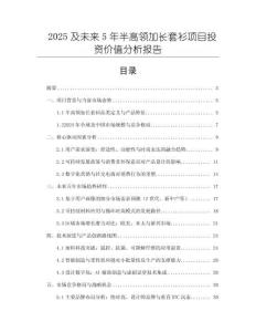 2025及未來(lái)5年半高領(lǐng)加長(zhǎng)套衫項(xiàng)目投資價(jià)值分析報(bào)告