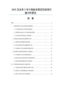 2025及未來5年牛角胎發(fā)筆項目投資價值分析報告