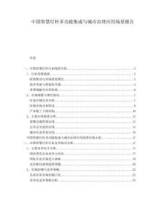 中國智慧燈桿多功能集成與城市治理應用場景報告