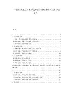 中國膜法重金屬去除技術(shù)在礦業(yè)廢水中的應(yīng)用評估報告