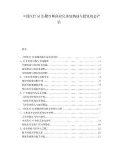 中國醫(yī)療AI影像診斷商業(yè)化落地挑戰(zhàn)與投資機(jī)會(huì)評(píng)估