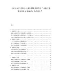 2025-2030储能电池梯次利用循环经济产业链构建资源回收标准体系建设项目报告