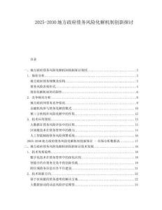 2025-2030地方政府債務風險化解機制創新探討
