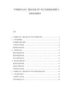 中國城市污水廠提標改造EPC項目市場投標策略與風險控制報告