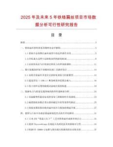 2025年及未來(lái)5年鐵鉻扁絲項(xiàng)目市場(chǎng)數(shù)據(jù)分析可行性研究報(bào)告