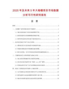 2025年及未來5年大格柵項目市場數據分析可行性研究報告