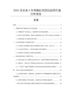 2025及未來5年帶腳肚兜項目投資價值分析報告
