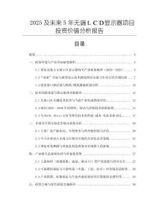 2025及未來5年無端ＬＣＤ顯示器項(xiàng)目投資價(jià)值分析報(bào)告