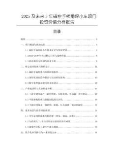 2025及未來(lái)5年磁控手柄角焊小車項(xiàng)目投資價(jià)值分析報(bào)告