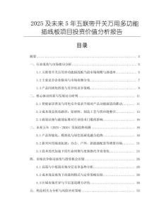 2025及未來5年五聯(lián)帶開關(guān)萬用多功能插線板項(xiàng)目投資價(jià)值分析報(bào)告