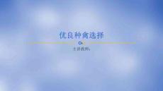 《禽生產(chǎn)》課件——優(yōu)良種禽選擇