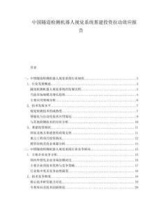 中國隧道檢測機(jī)器人視覺系統(tǒng)基建投資拉動(dòng)效應(yīng)報(bào)告