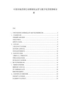 中國市場營銷行業精細化運營與數字化營銷策略分析