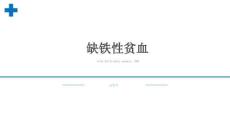 【406】缺铁性贫血