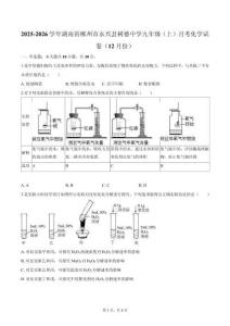 湖南省郴州市永興縣樹德中學(xué)2025-2026學(xué)年九年級(jí)（上）月考化學(xué)試卷（12月份）（含答案）