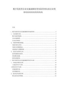 數(shù)字化轉(zhuǎn)型企業(yè)實(shí)施戰(zhàn)略轉(zhuǎn)型風(fēng)險(xiǎn)管理未來(lái)企業(yè)變革些些些些些些些些些