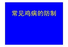 常見雞病防治