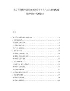 數字營銷行業流量變現深度分析及火星生態鏈構建趨勢與資本運作報告