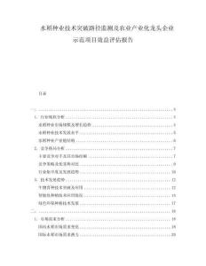 水稻種業技術突破路徑監測及農業產業化龍頭企業示范項目效益評估報告