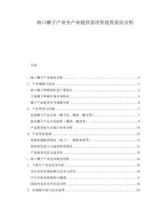 海口椰子產(chǎn)業(yè)全產(chǎn)業(yè)鏈供需評(píng)價(jià)投資前沿分析