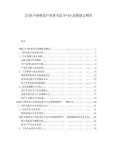 2025中國電競產(chǎn)業(yè)資本運(yùn)作與生態(tài)鏈建設(shè)研究