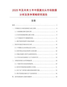 2025年及未來5年中國激光頭市場數(shù)據(jù)分析及競爭策略研究報告