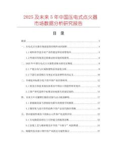 2025及未來5年中國壓電式點火器市場數據分析研究報告