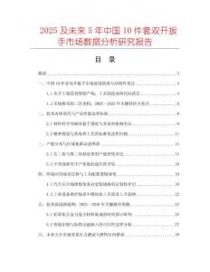 2025及未來5年中國10件套雙開扳手市場數據分析研究報告