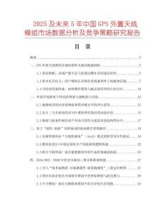 2025及未來5年中國GPS外置天線模組市場數(shù)據(jù)分析及競爭策略研究報告
