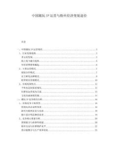 中國潮玩IP運營與粉絲經濟變現途徑