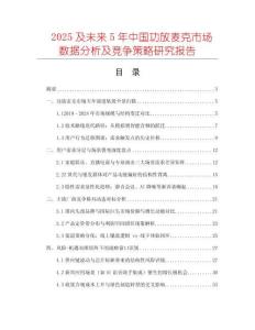 2025及未來5年中國功放麥克市場數(shù)據(jù)分析及競爭策略研究報(bào)告