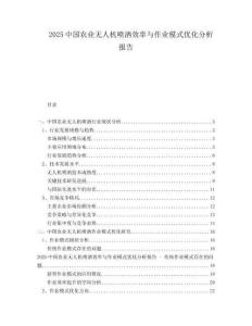 2025中國農(nóng)業(yè)無人機(jī)噴灑效率與作業(yè)模式優(yōu)化分析報(bào)告