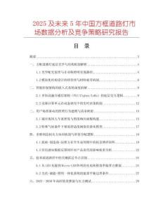 2025及未來(lái)5年中國(guó)方框道路燈市場(chǎng)數(shù)據(jù)分析及競(jìng)爭(zhēng)策略研究報(bào)告