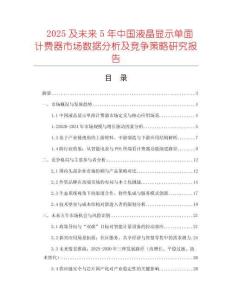 2025及未來5年中國液晶顯示單面計費器市場數(shù)據(jù)分析及競爭策略研究報告