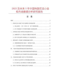 2025及未來5年中國轉(zhuǎn)鼓尼龍小齒輪市場數(shù)據(jù)分析研究報(bào)告