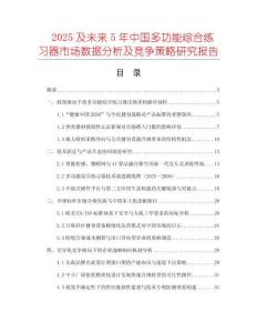 2025及未來5年中國多功能綜合練習器市場數(shù)據(jù)分析及競爭策略研究報告