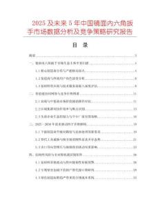 2025及未來(lái)5年中國(guó)鏡面內(nèi)六角扳手市場(chǎng)數(shù)據(jù)分析及競(jìng)爭(zhēng)策略研究報(bào)告