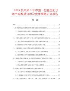 2025及未來(lái)5年中國(guó)L型星型起子組市場(chǎng)數(shù)據(jù)分析及競(jìng)爭(zhēng)策略研究報(bào)告