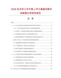 2026及未來5年中國γ-甲乙氧基丙胺市場數(shù)據(jù)分析研究報告