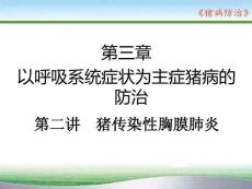 豬病防治：豬傳染性胸膜肺炎PPT教學課件