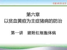 豬病防治：豬附紅細胞體病PPT教學課件