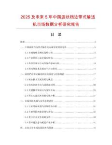 2025及未來5年中國波狀檔邊帶式輸送機(jī)市場數(shù)據(jù)分析研究報(bào)告