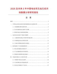 2025及未來5年中國(guó)電動(dòng)雙孔鉆孔機(jī)市場(chǎng)數(shù)據(jù)分析研究報(bào)告