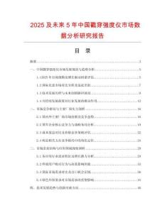 2025及未來(lái)5年中國(guó)戳穿強(qiáng)度儀市場(chǎng)數(shù)據(jù)分析研究報(bào)告