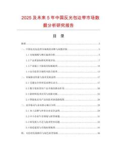 2025及未來5年中國(guó)反光包邊帶市場(chǎng)數(shù)據(jù)分析研究報(bào)告