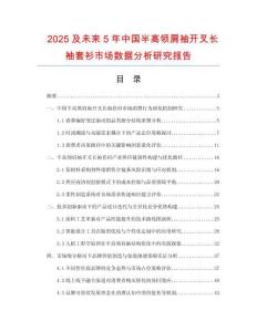 2025及未來(lái)5年中國(guó)半高領(lǐng)肩袖開(kāi)叉長(zhǎng)袖套衫市場(chǎng)數(shù)據(jù)分析研究報(bào)告