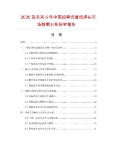 2025及未來5年中國投彈式復(fù)槍探頭市場數(shù)據(jù)分析研究報告